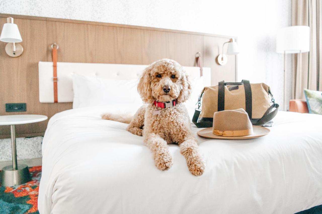 Hyatt Centric Downtown 덴버 외부 사진