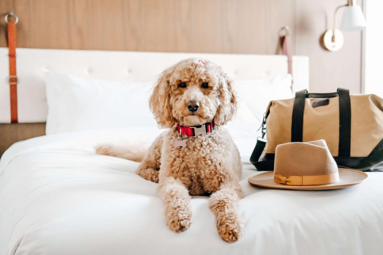 Hyatt Centric Downtown 덴버 외부 사진